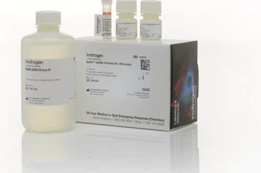 Qubit dsDNA HS Assay Kit / Qubit dsDNA HS定量试剂盒